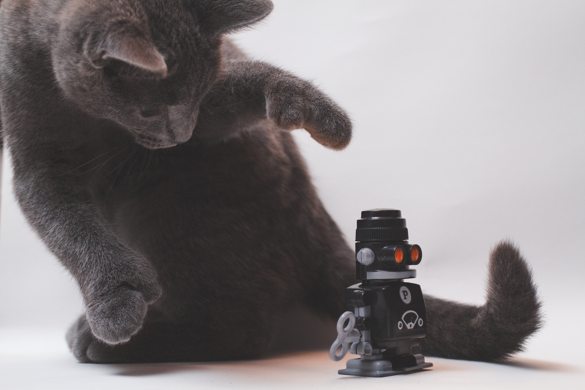 52-Week Photography Challenge | Week 3: Black & White