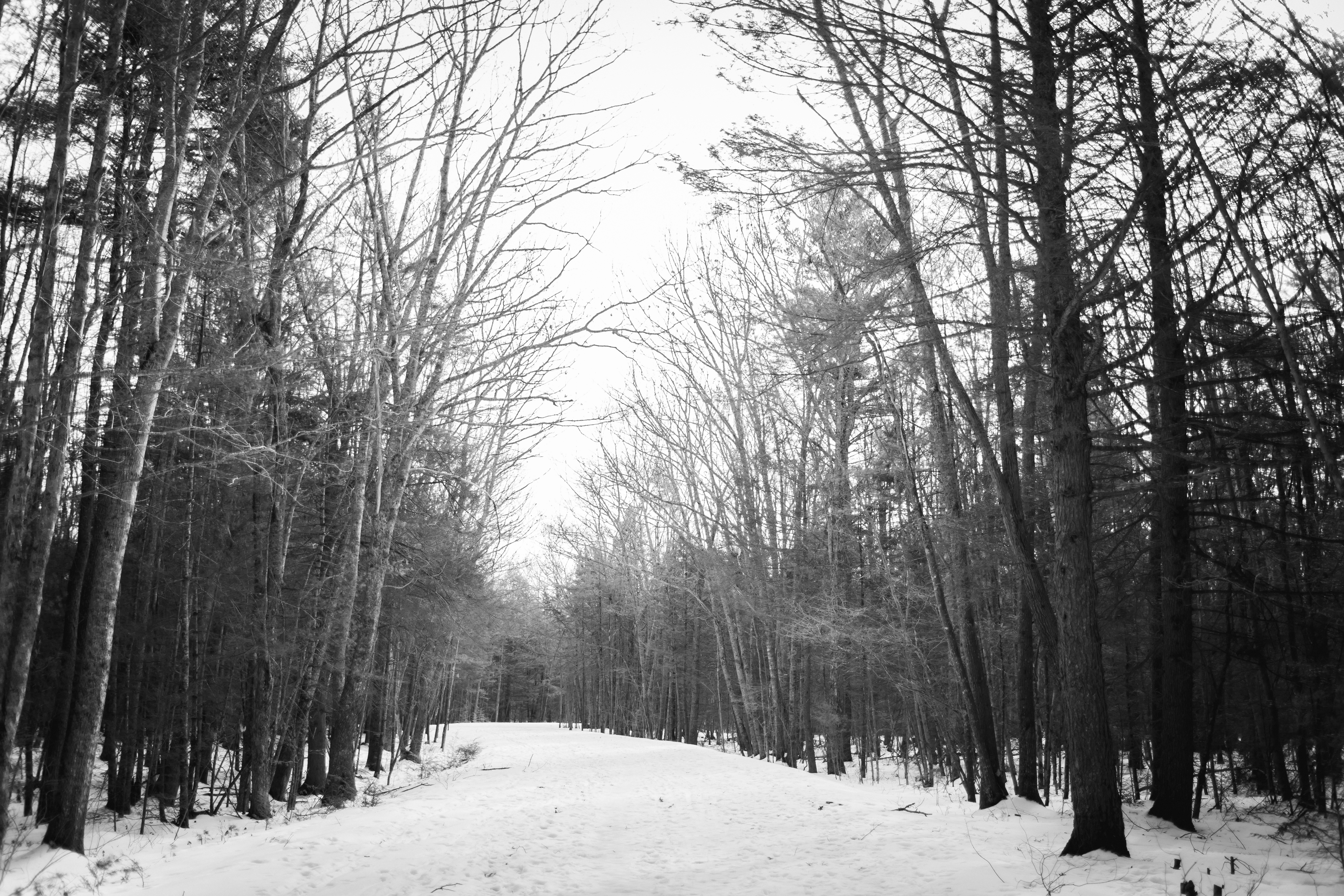 52-Week Photography Challenge | Week 4: Landscape