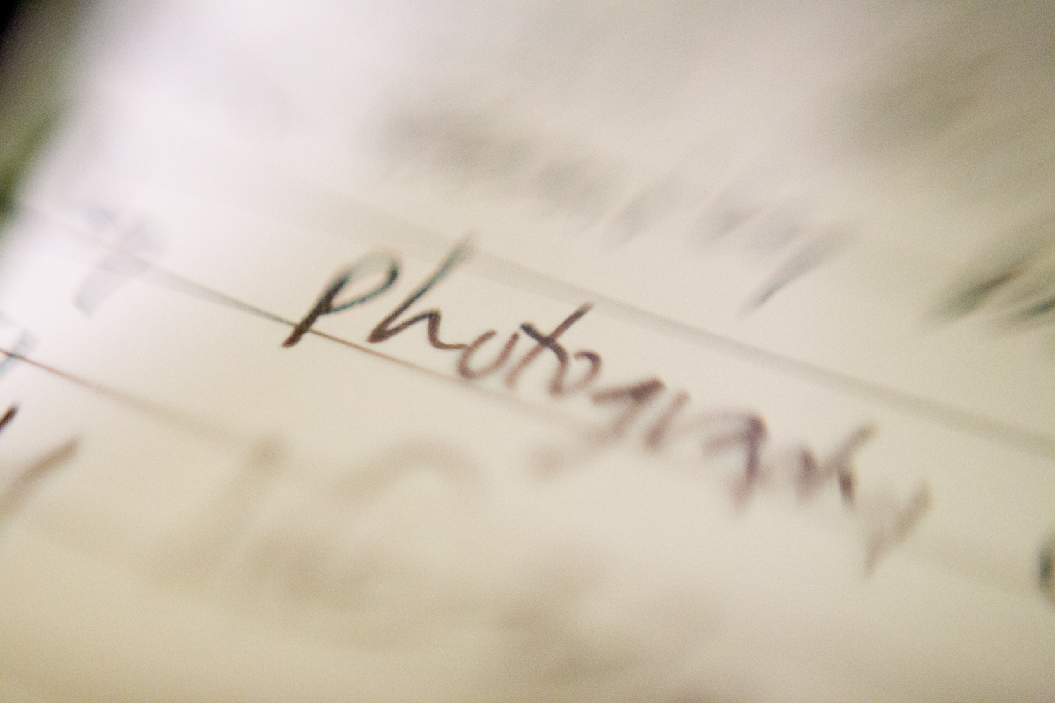 52-Week Photography Challenge | Week 10: Close Up