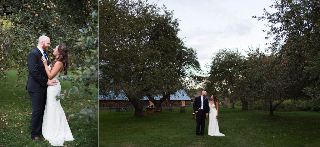 Apple Orchard at Maine Audubon Center at Gisland Farm Falmouth Maine