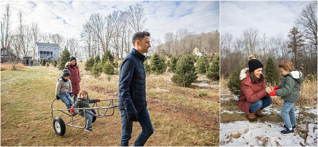 A family walking through a tree farm excited to select their perfect Christmas tree as part of their holiday traditions