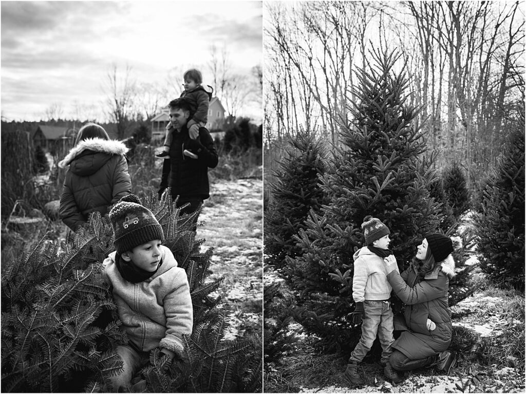 black and white images of family picking out their Christmas Tree at a tree farm